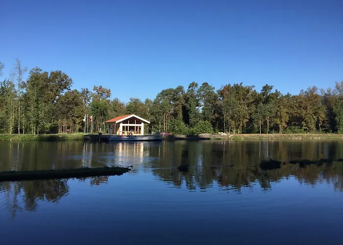 Panperduto بيت شباب *